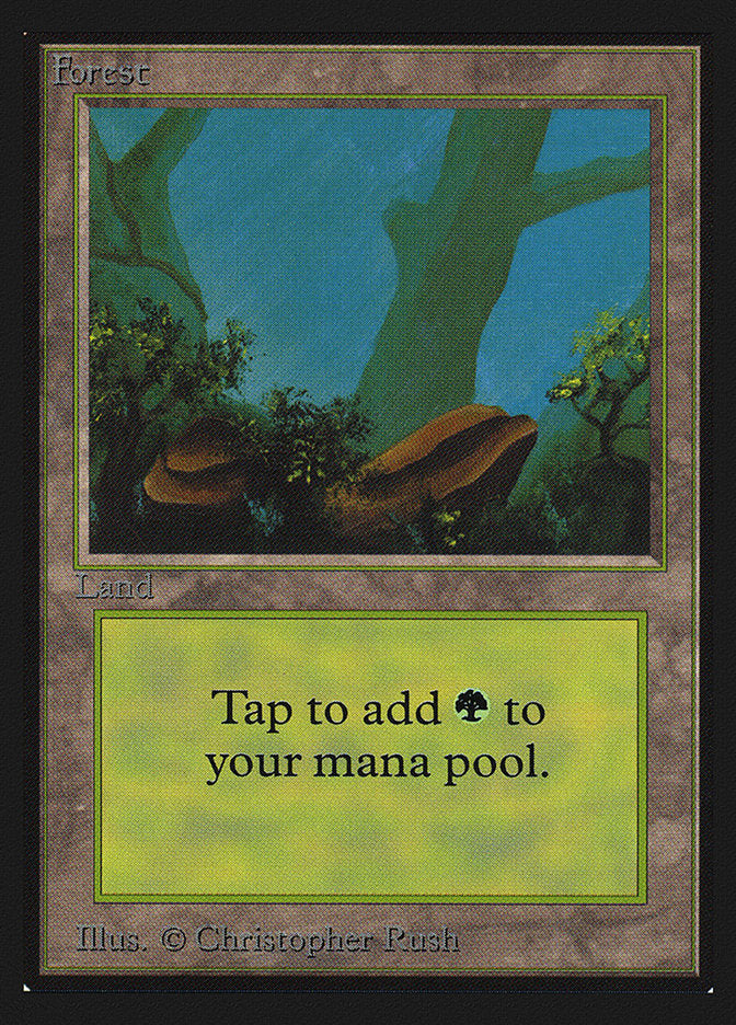 Forest (300) [International Collectors' Edition] | Local Legends
