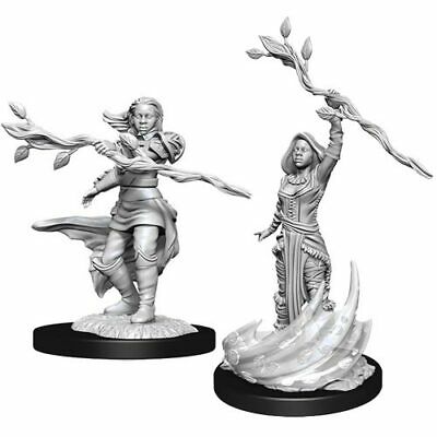 D&D Miniatures Human Druid | Golgari Games