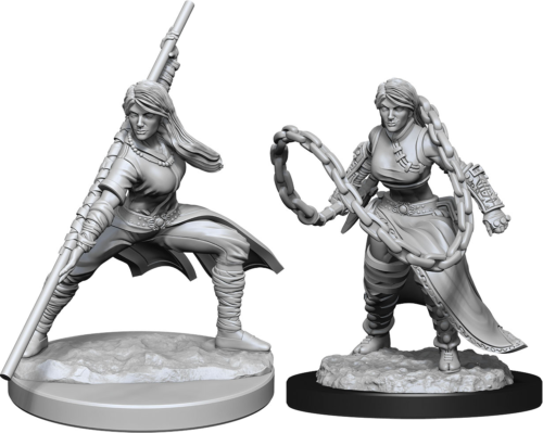 D&D Miniatures Human Monk | Golgari Games