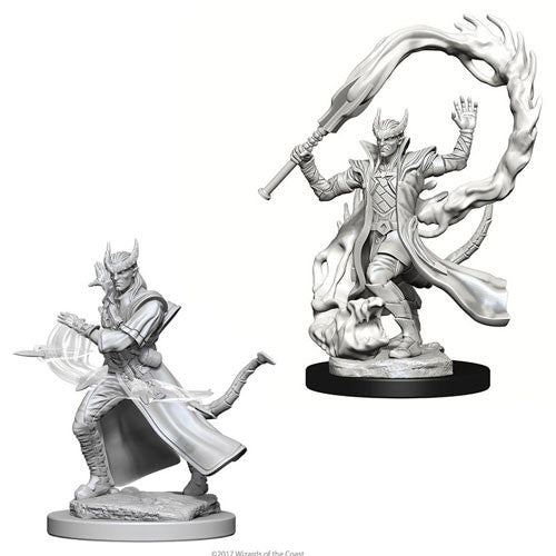 D&D Miniatures Tiefling sorceror | Golgari Games